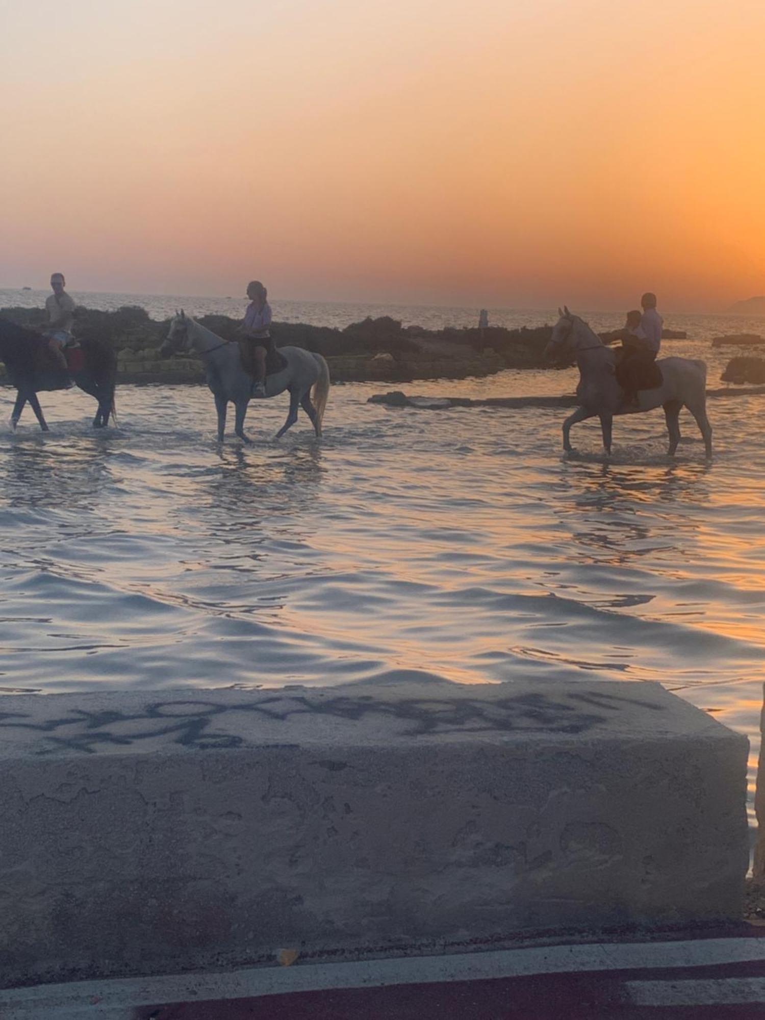 فيلا Maresol مارسالا المظهر الخارجي الصورة